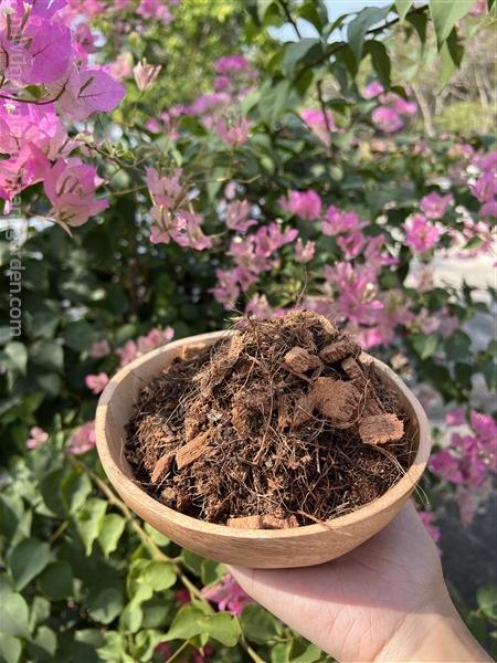 POTTING SOIL ดินเฟื่องฟ้า ดินปลูกเฟื่องฟ้า | Alungkarn - เมืองราชบุรี ราชบุรี